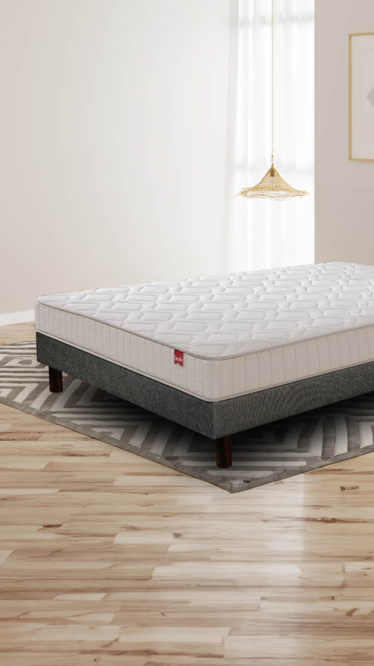 3d render